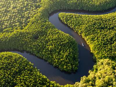 On biodiversity