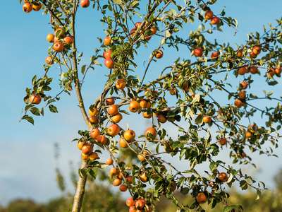 ‘Cooking for People’, Estonian wine and The Newt